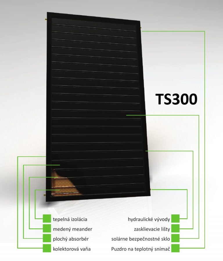 TS 300